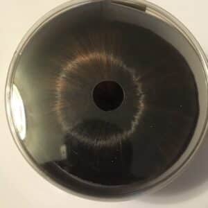 Fashion Dome EV-010