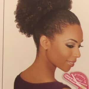 FHP-309 Drawstring Ponytail