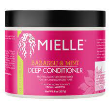 Mielle Babassu and Mint Deep Conditioner